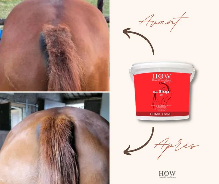 the stop gel the stop gel