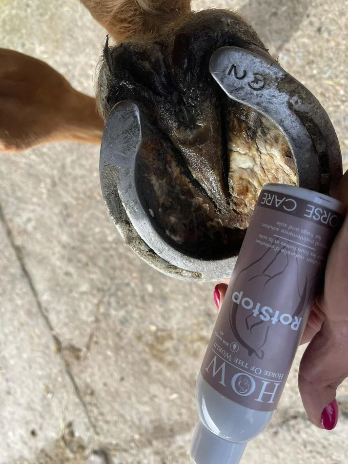 rotstop 150ml rotstop 150ml