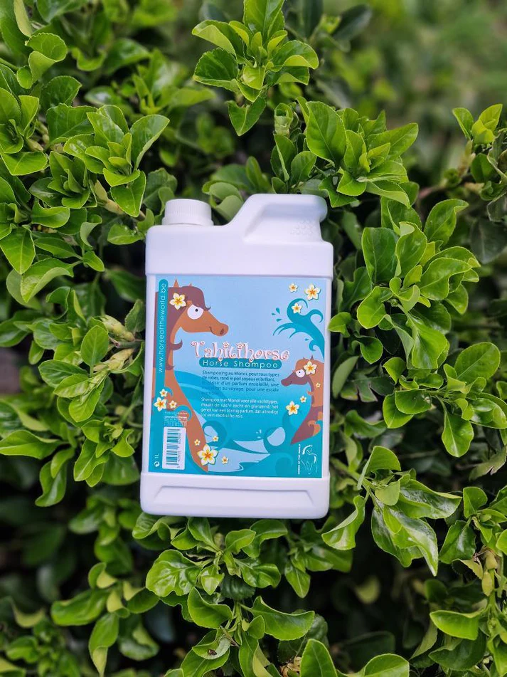 tahiti horse tahiti horse