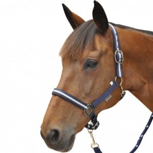 set licol + longe lurex canter