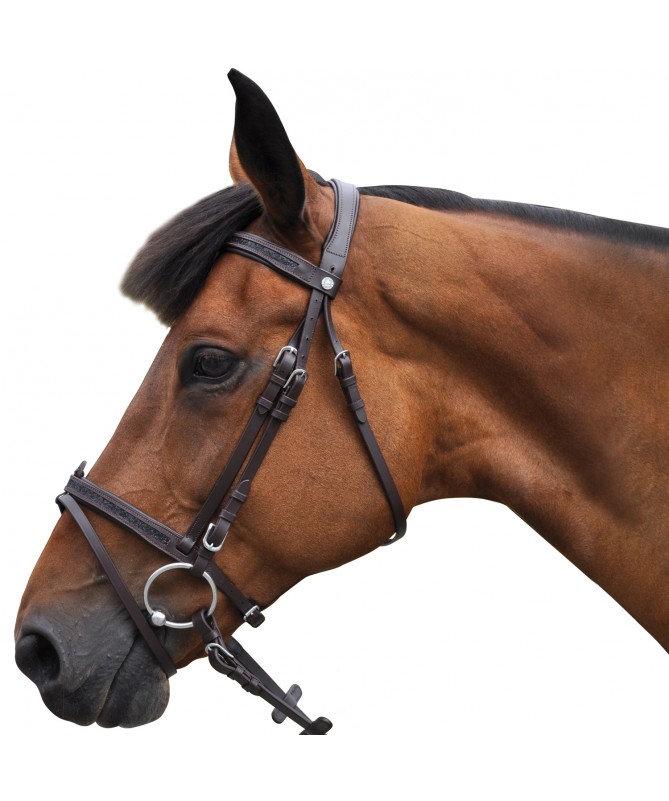 bridon canter black strass bridon canter black strass