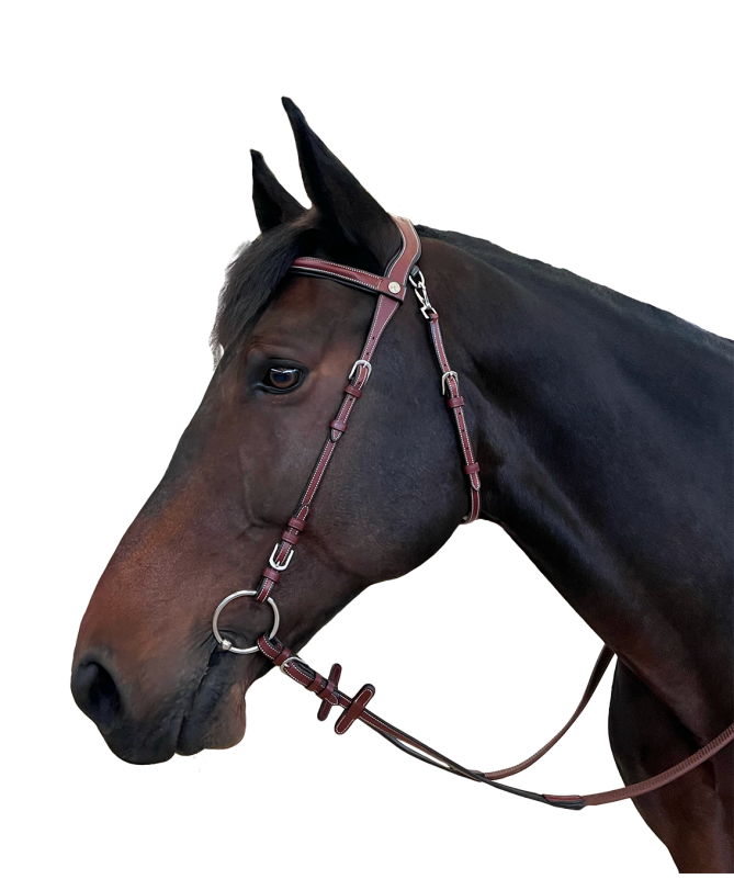 bridon f&c freedom bridon f&c freedom