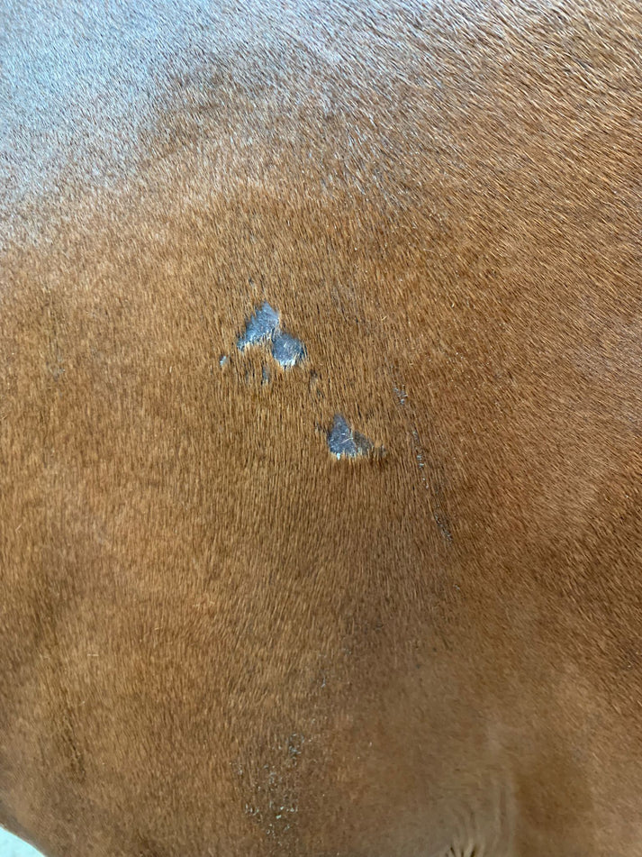 balm care 300ml balm care 300ml