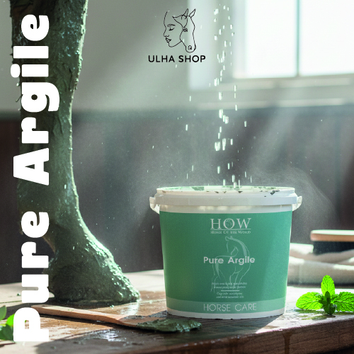 pure argile 4kg pure argile 4kg