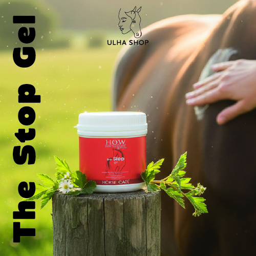 pure argile 4kg pure argile 4kg