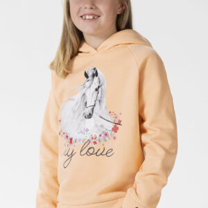 13275 4700 model front 1 58500 (1)