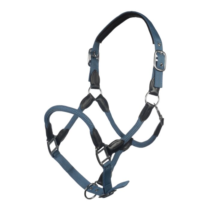 licol carlotta bleu gris licol carlotta bleu gris
